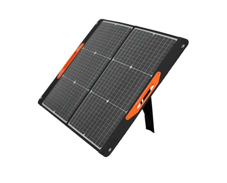 Maxx Mono Flex Prenosni 2x 50W