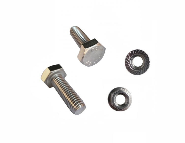 Vijak in matica 10x M10x25 DIN933