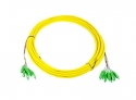 Opton MultiPatch 12x SC/APC SM-D 15m